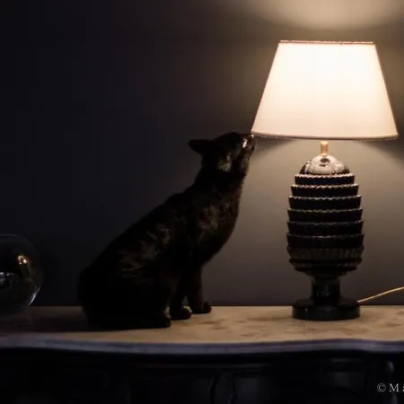 Maison Verte Cantalupa