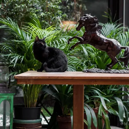 Maison Verte 3* Cantalupa