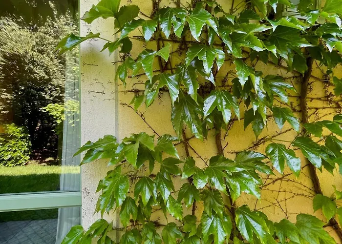 Отель Locanda Maison Verte Cantalupa
